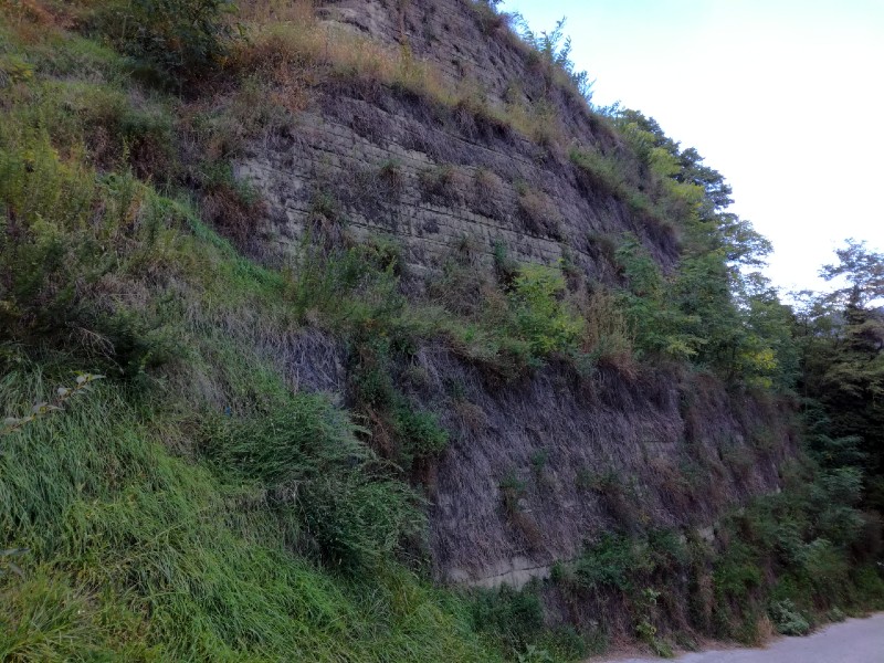 Reinforced soil is a natural engineering technique widely used in recent years. This method allows us to strongly limit environmental impact, by replacing traditional reinforced concrete walls with structures capable of greening the slope.